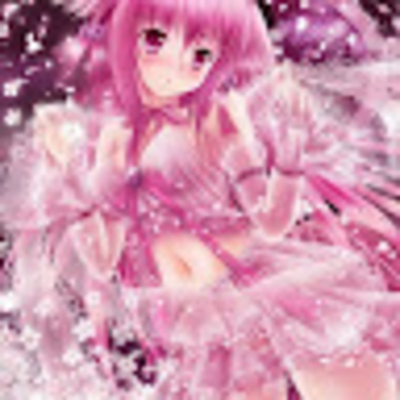 Meet your Posher, Gidget - Picture 1 of 1